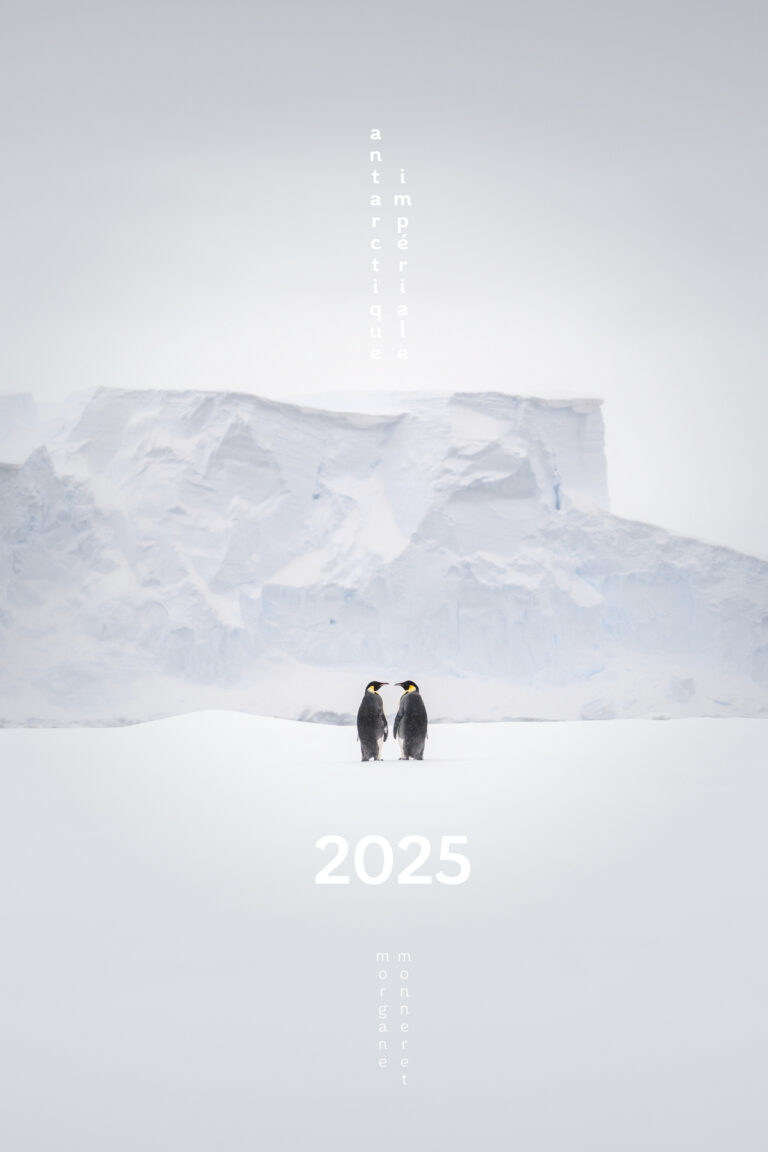 Couverture calendrier photos 2025 Antarctique Impériale